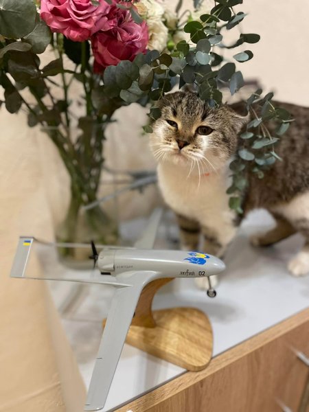 беспилотник, дрон, модель дрона