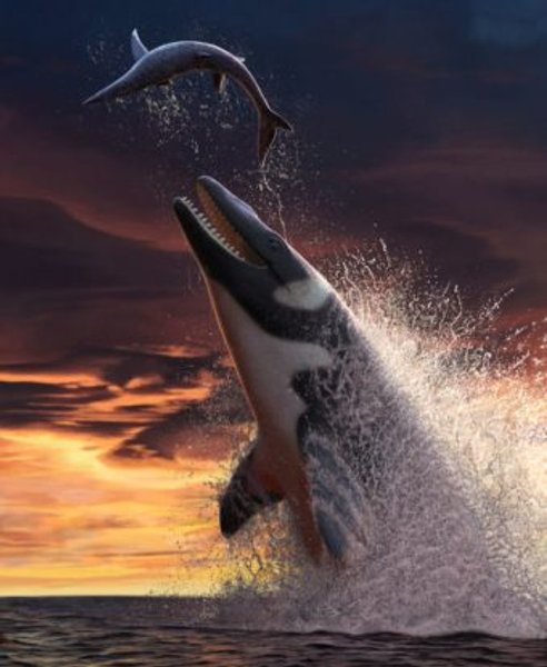 талассотитан реконструкция