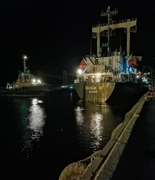 Балкер DOGA K доставляє 10 тис тонн пшениці для Тунісу