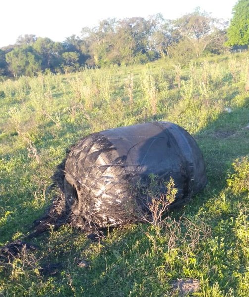 Чорний циліндричний об'єкт, покритий волокнами, лежить на траві після падіння з неба в Аргентині
