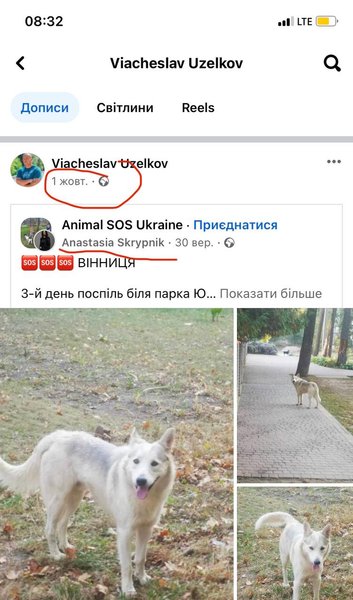 Пости Узелкова