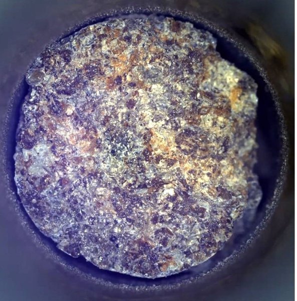 зразок породи Марс, позаземне життя на Марсі