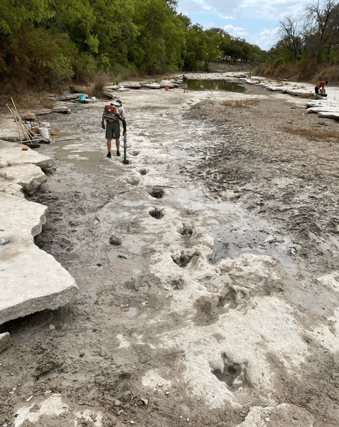Следы динозавров, засуха, доисторические динозавры, 113 млн лет назад, окаменелости, Долина динозавров, высохшая река