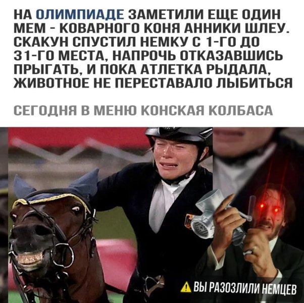 Анника Шлеу, Saint Boy, мем,