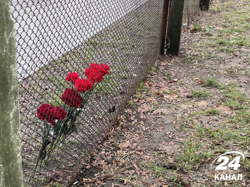 Цветы, фото