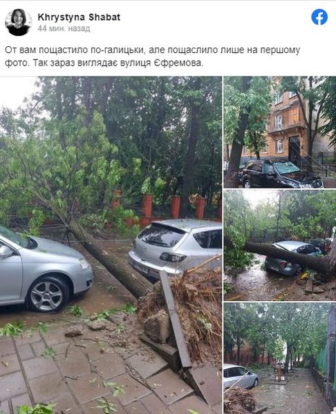 Львов, буря, автомобили,