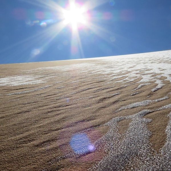 Сахара, Пустыня, Снег, Иней, Верблюды, Фотограф