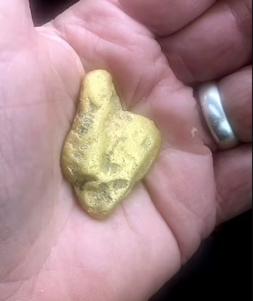 Золотий самородок, Велика Британія, мисливець за скарбами, знахідки, фото, мільйонер, аукціони, курйози