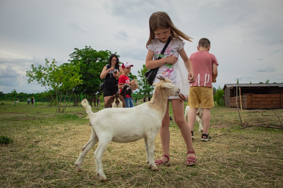 Фельдман Екопарк, екопарк харків, екопарк фельдмана, зоопарк фельдмана, фельдман
