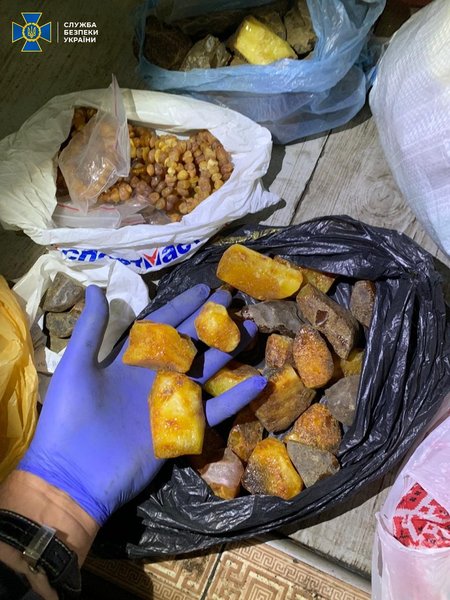 янтарь, сбыт, копатели, житомирская область, сбу