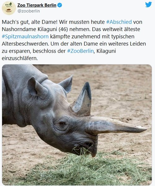 Носорог Килагуни