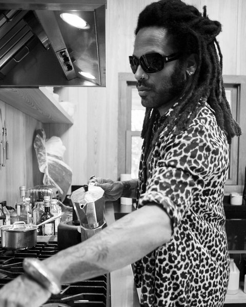 ленни кравиц, рок музыкант, музыкант, отец зои кравиц