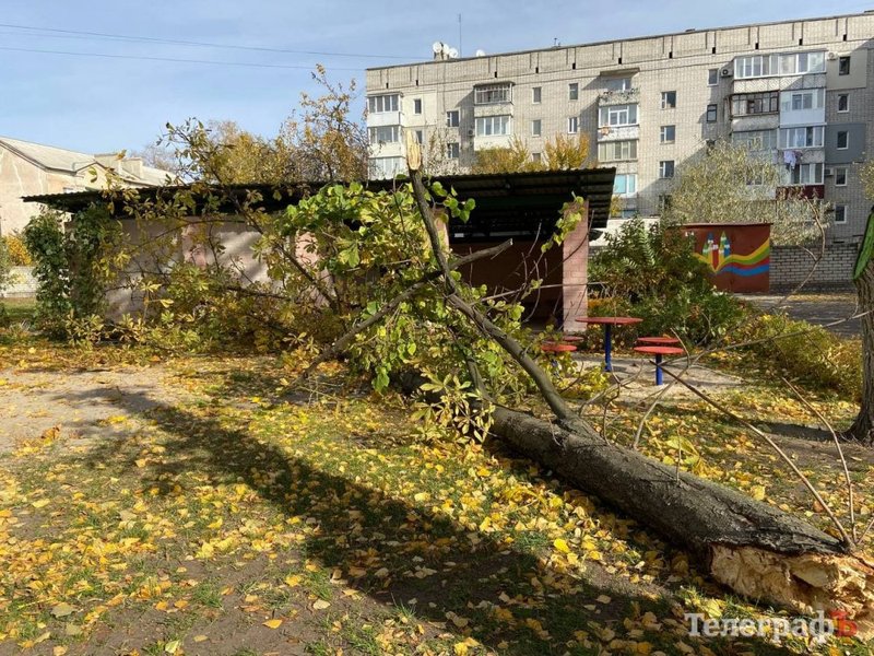 В Кременчуге скончалась девочка, на которую упало дерево
