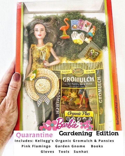 barbie, тоня руис, барби, карантинные барби