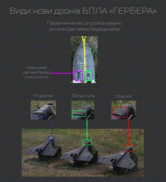 Чем отличаются дроны Гербера