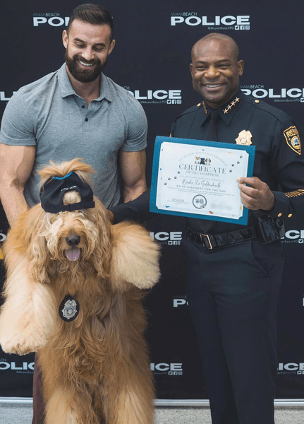 Собака, зірка соцмереж, порода собаки, тварини, собака служить у поліції, офіцер поліції, зірка TikTok, заробив млн