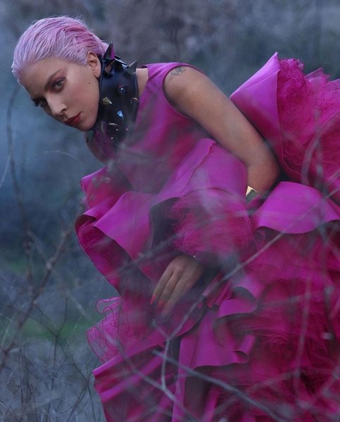 леди гага, певица, свадьба