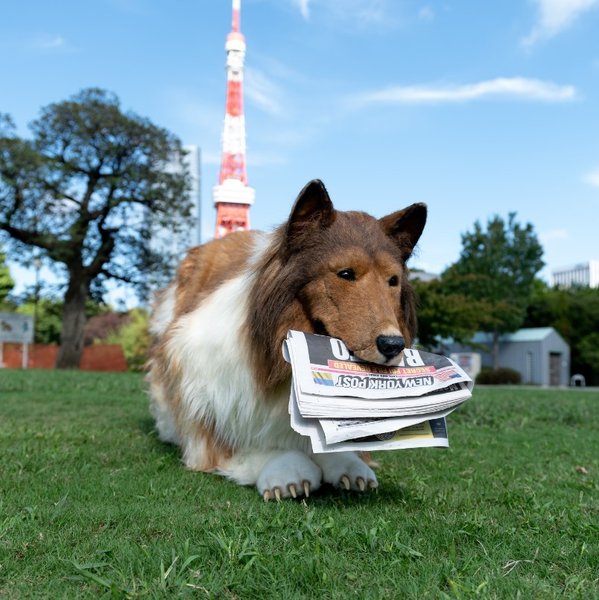 Мужчина-пес приносит газету