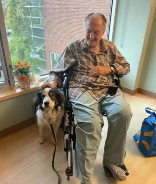 Собака Гіта врятувала життя своєму старенькому господарю, як це трапилось, курйози, цікаві історії