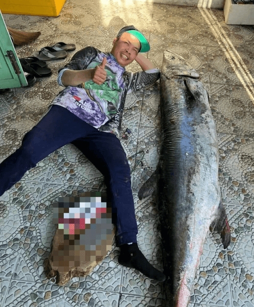 В'єтнамський рибалка спіймав макрель вагою 63 кілограми біля узбережжя Дананга