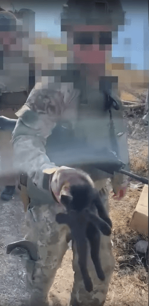 эвакуация с отсрова змеиный