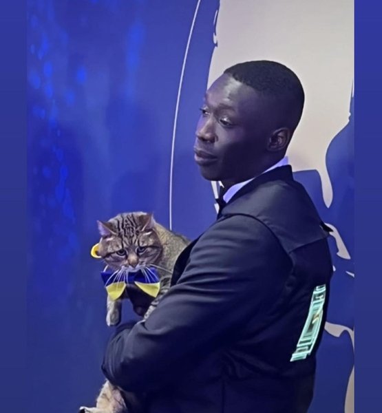 кот степан, хаби ламе, блогерская премия, блогеры