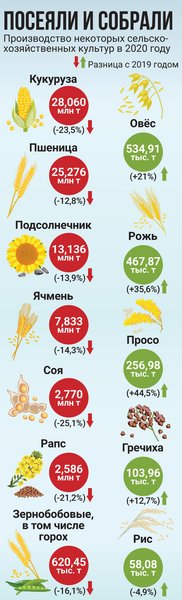 гречиха, горох, нишевые культуры, агропрогноз, урожай зерновых, инфографика