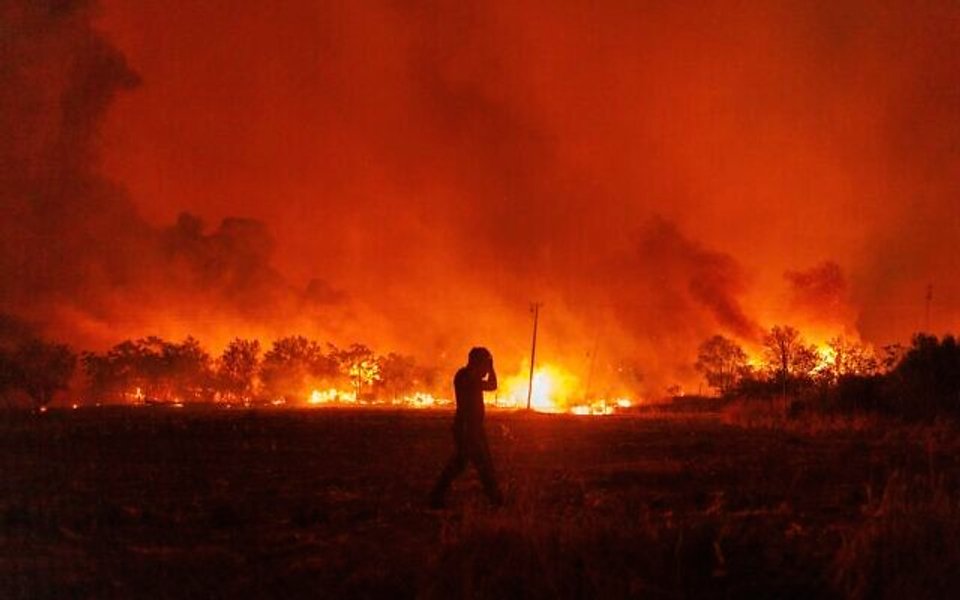 Греция, пожары, лес