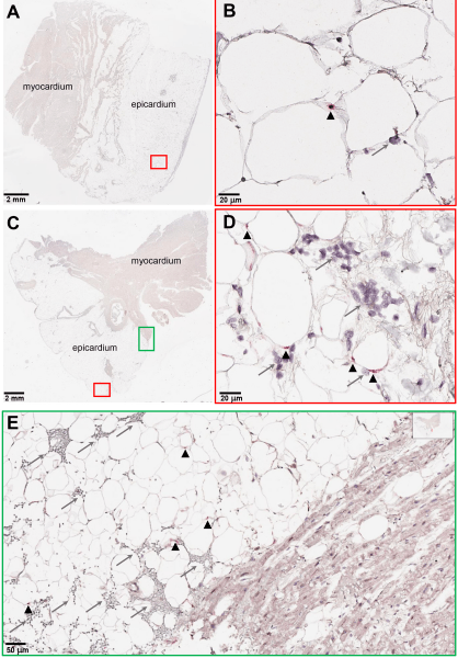 зображення_2022-09-24_191101108