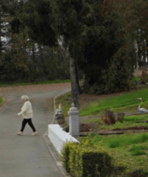 Зникла жінка, пенсіонерка, розслідування, Google Maps Зникла жінка, пенсіонерка, розслідування, Google Maps, 2 роки шукали пенсіонерку, карти Google, поліція, пішла до сусідів