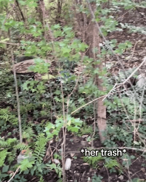 Женщина купила новый дом в лесу, но за ним кто-то следил