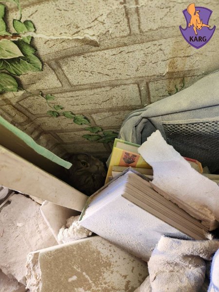 кот под завалами, спасение кота в киеве