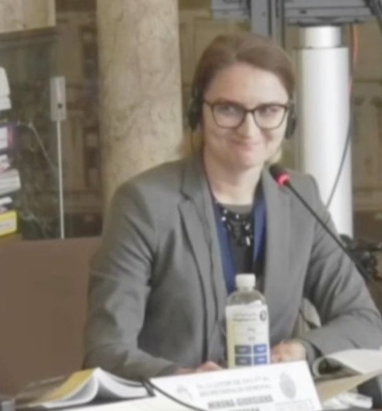 Румунський політик, засідання, Zoom, курйоз, скріншот