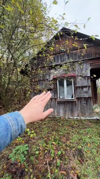 Хата у Карпатах купити