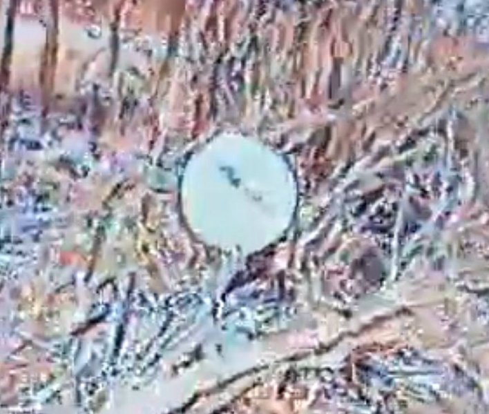 Антена ЗС РФ