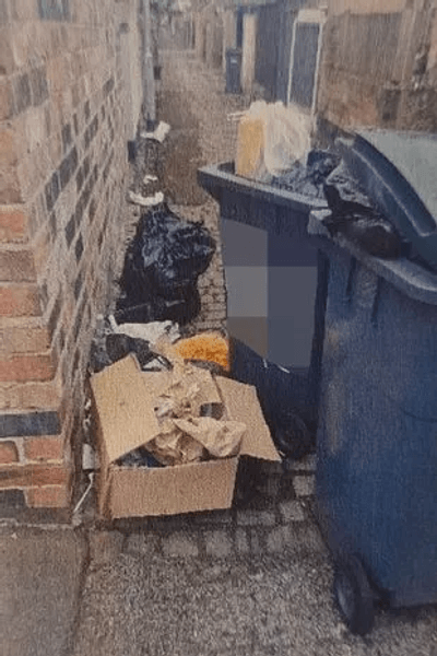 Супруги получили штраф за уборку мусора, штраф, деньги, мусор, крысы в мусоре, мусорные баки, контейнер для мусора,