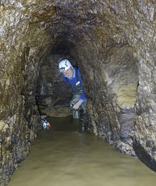 Тайная комната, находка в доме, Австрия, фермер, ремонт, Флориан Шмидт, подземелье, средние века, исследования