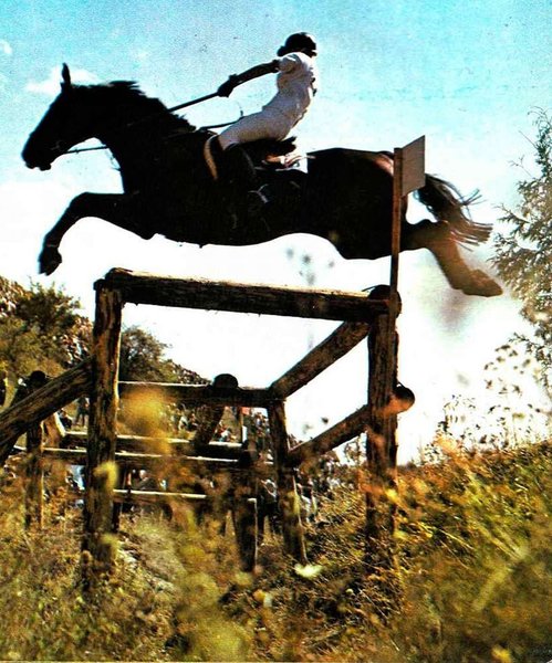 Принцеса Анна в Києві, принцеса Анна під час чемпіонату в Києві, принцеса Анна верхи на коні, кінний спорт