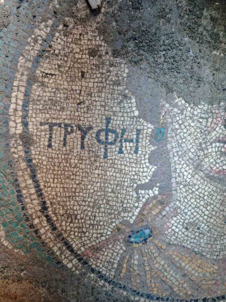 дослідники розкопали унікальну мозаїку