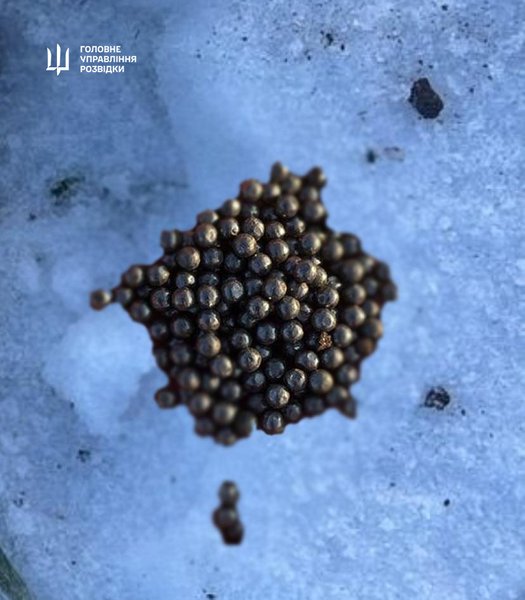 Елементи бойової частини БПЛА "Герань-5"