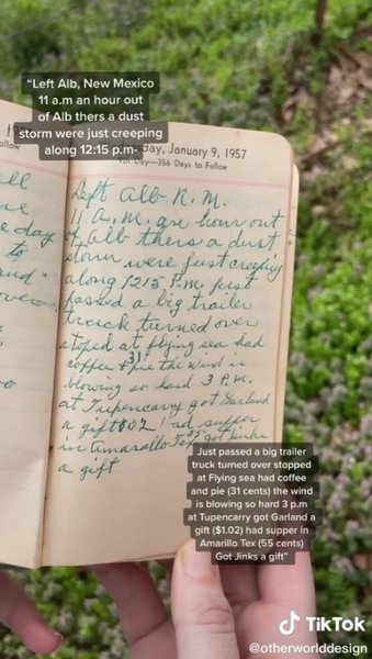 щоденник домогосподарки