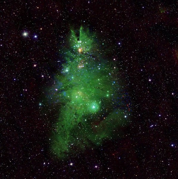 NGC 2264