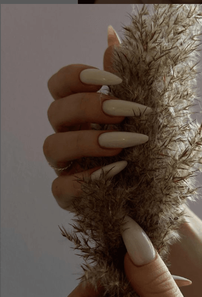 Идея маникюра