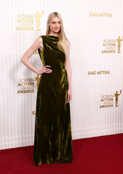красная дорожка, SAG Awards, элизабет дебики, платье диор