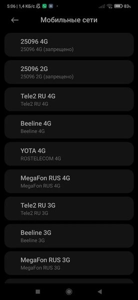 Российская сеть