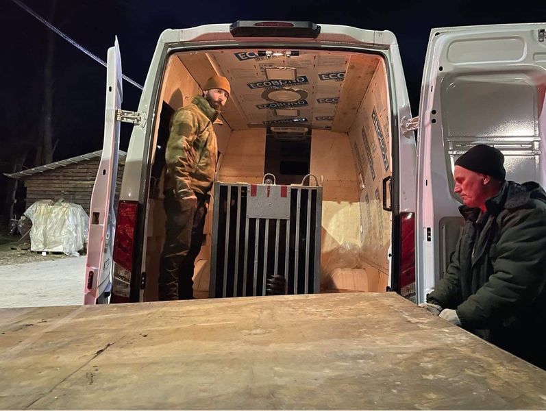 медведи, медвежий приют, защита медведей, спасение медведей, приют белая скала, домажир, приют домажир, домажир медведи