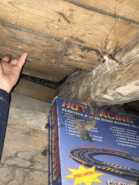 Горище, таємна кімната, потайна кімната, не знав 25 років, незвичайна знахідка, налякав людей, соцмережі, курйози, старі речі