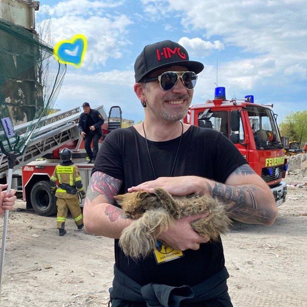 кошка бородянка, кот бородянка, спасенная кошка, кошка шафа, бородянка, зоопатруль