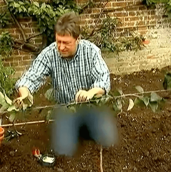 В Северной Корее наложили цензуру на джинсы, джинсовые штаны, блюр, зацензурили штаны, размыли картинку, телеведущий, скрыли джинсы