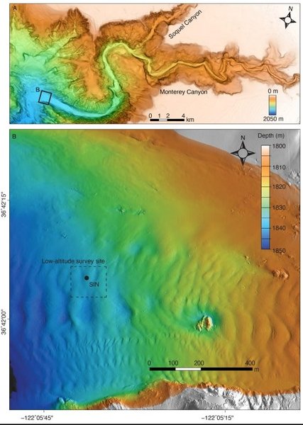 подводный каньон карта